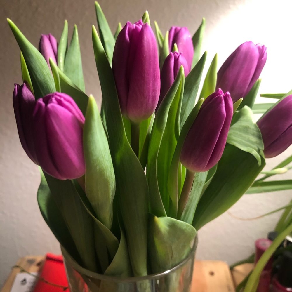 Meet your Posher, Tasha